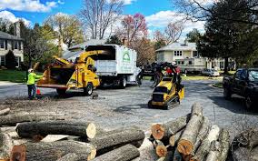 Best Tree Trimming and Pruning  in Shelter Island Heights, NY