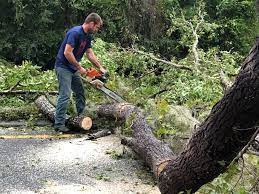 Best Seasonal Cleanup (Spring/Fall)  in Shelter Island Heights, NY