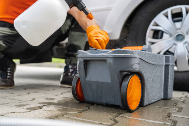 Best Root Management and Removal  in Shelter Island Heights, NY