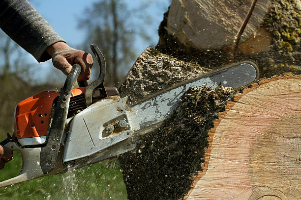 Best Lawn Pest Prevention  in Shelter Island Heights, NY